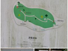 -黄山太平湖风景区