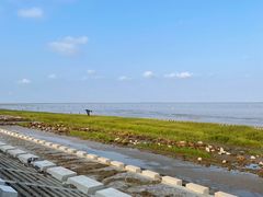 -南汇嘴观海公园