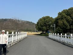 -羊山湖公园