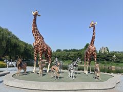 -北京野生动物园