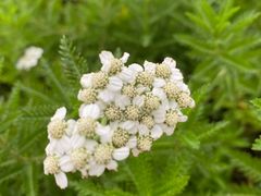 -上海植物园-4号门售票处