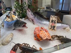-半岛听涛蒸汽海鲜自助(K11店)