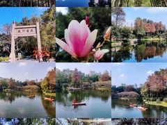 -晓港公园
