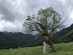 -硗碛藏寨·神木垒景区