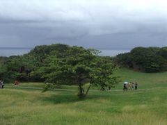 -鹅銮鼻公园