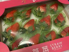 -盒马X会员店(王府井奥莱UP TOWN店)
