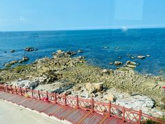 -海岛日记(养马岛店)