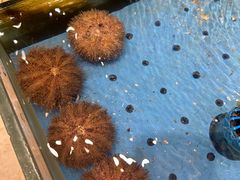 -添福来墨鱼饺子 · 海鲜东北菜(大连星海·黄浦路店)