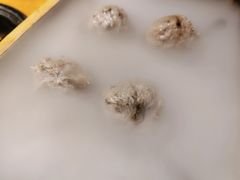 松茸牛肉丸-原牛道·潮汕围炉火锅(讯美店)