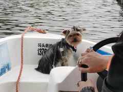 -上海月湖雕塑公园