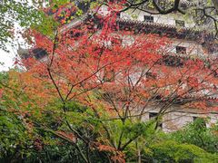-六和塔文化公园