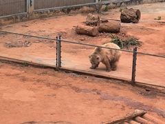 -昆明动物园
