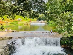 -广州市石门国家森林公园