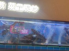 -老板恋上鱼(恒隆广场店)