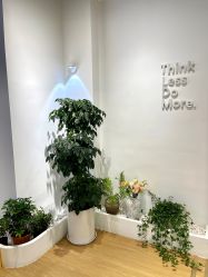 -珞菲瑜伽普拉提