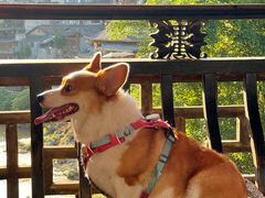 -芙蓉镇景区