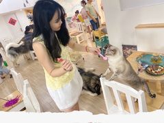 -李小姐の猫咖啡馆(五角场店)