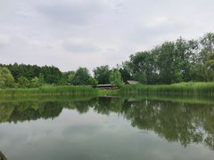 -溱湖国家湿地公园