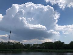 -永定河休闲森林公园