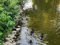 -长白岛森林公园