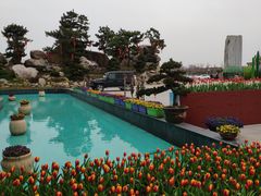 -南通洲际绿博园