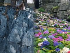 -梭布垭石林景区