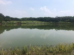 -东莞植物园