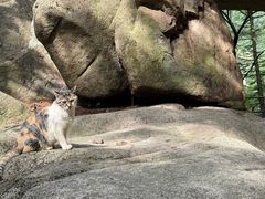 -崂山巨峰游览区