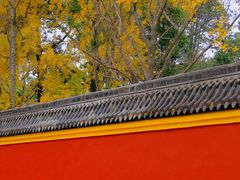 -宝光寺
