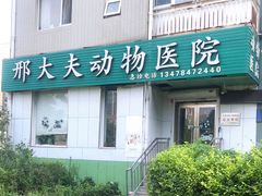 -邢大夫动物医院