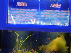 -嘉兴海底世界