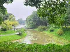 -东莞植物园