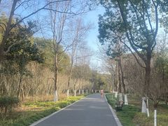 -昆山城市生态森林公园