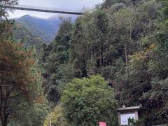 -遂昌金矿国家矿山公园