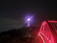 -金鸡山公园