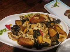 -前海沿·青岛菜(五四广场永旺店)