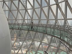 -陕西自然博物馆