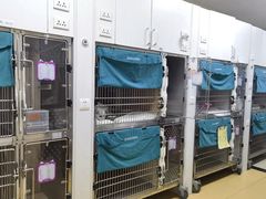 -美联众合动物医院·24h转诊中心