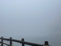 -武陵山森林公园