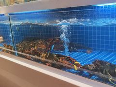 -渔人码头(中南店)