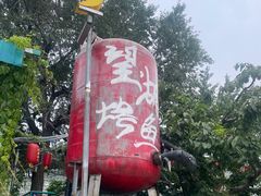 -望湖烤鱼