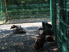 -香宫中餐厅 · 桂林香格里拉