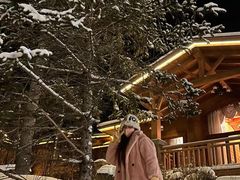 -长白山鲁能胜地瑞士酒店-度假村·怡客全日制餐厅