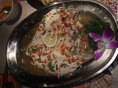 -荷花泰菜(东方新天地店)