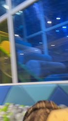 -KidSteam儿童乐园(富力城店)