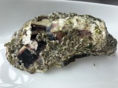 -Oyster Talks 四度蚝法餐厅