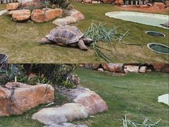 -珠海长隆海洋王国