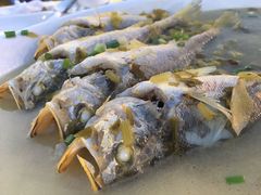 -胖大嫂渔家排档·全海景餐厅(渔村店)