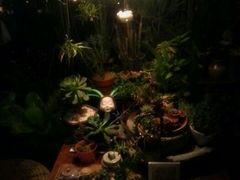 android_upload_pic-北平国际青年旅舍(南锣鼓巷店)