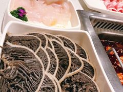 -海底捞火锅(高科广场店)